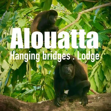 Alouatta Lodge And Canopy Cahuita Dış mekan fotoğraf