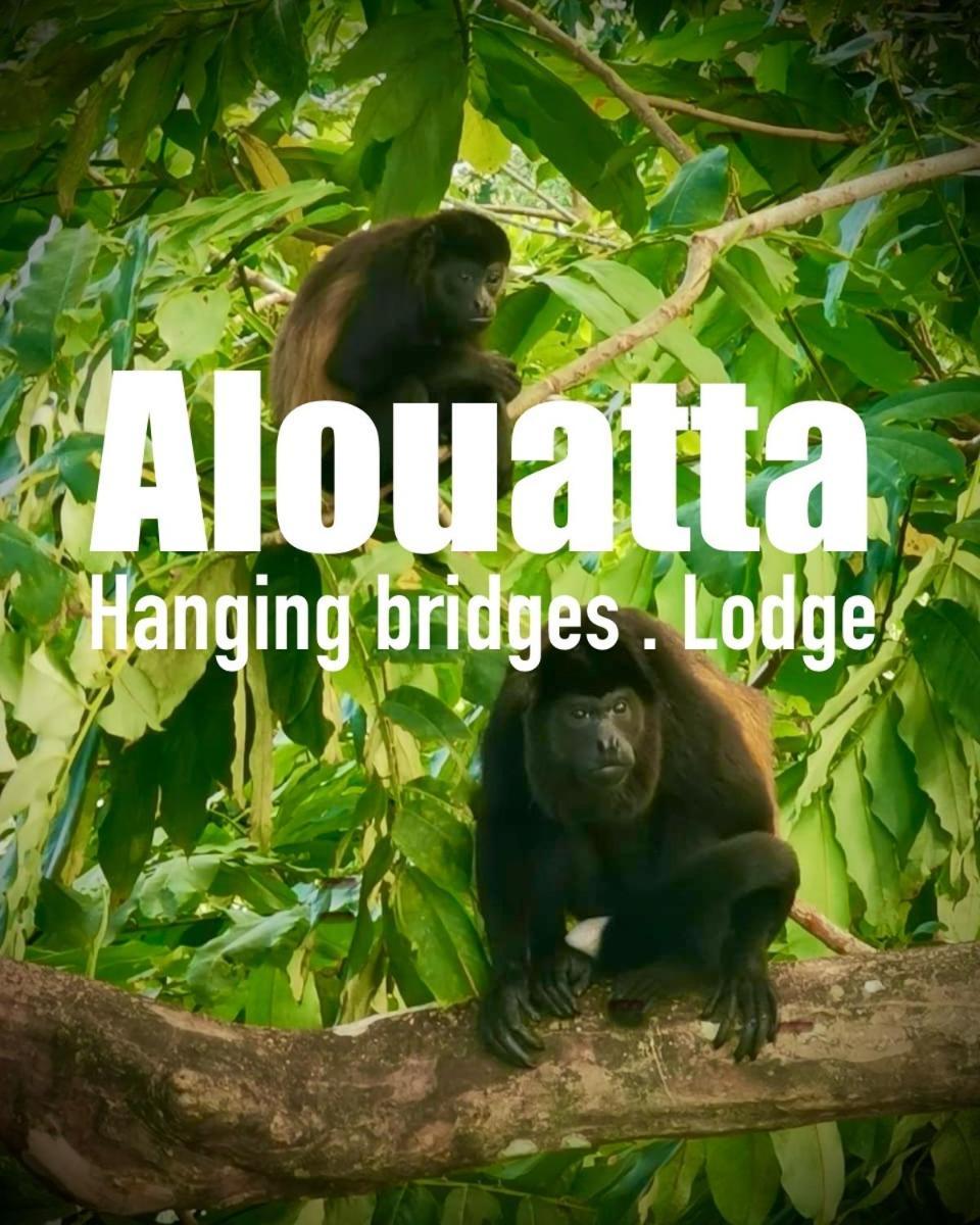 Alouatta Lodge And Canopy Cahuita Dış mekan fotoğraf