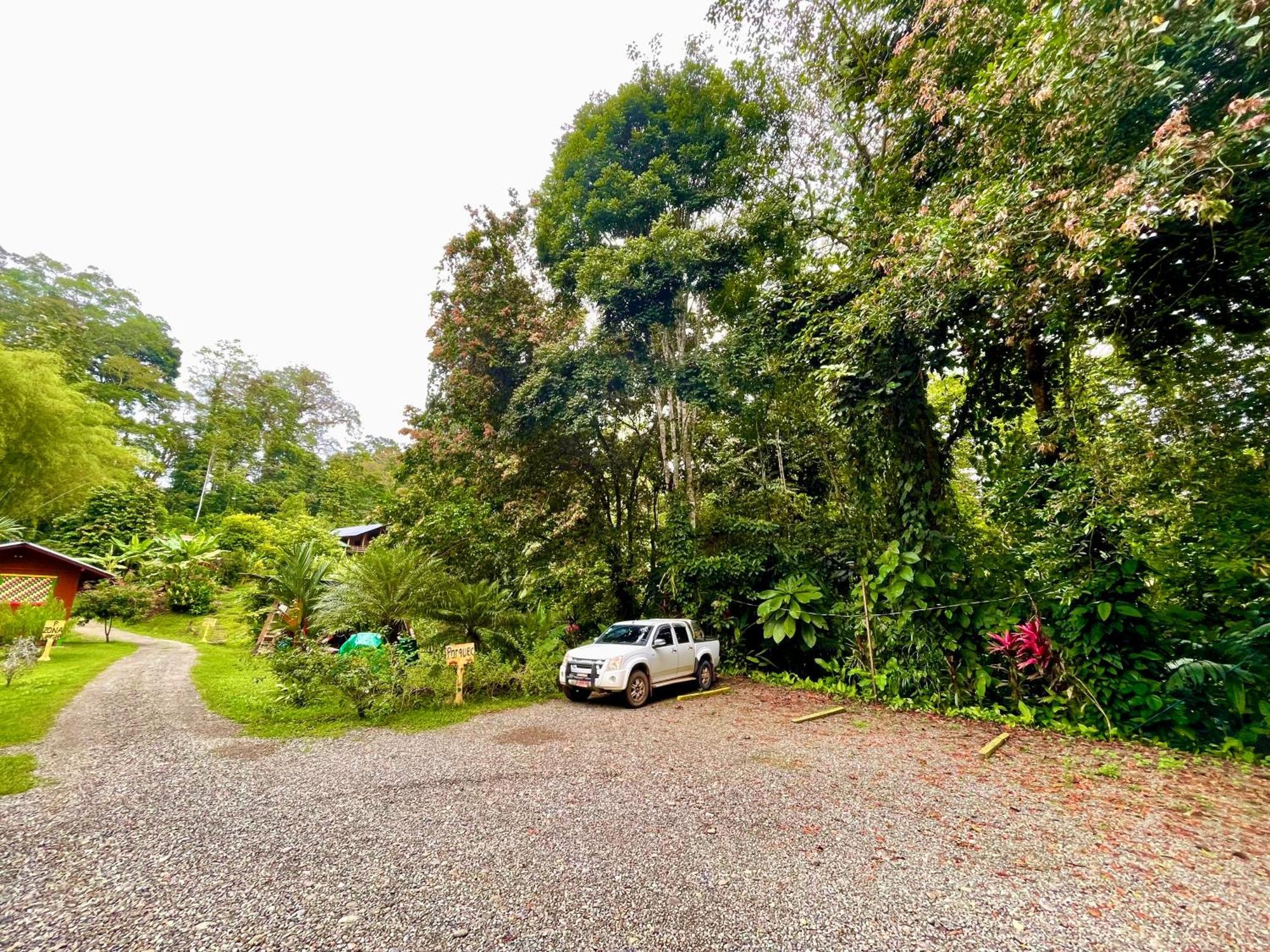 Alouatta Lodge And Canopy Cahuita Dış mekan fotoğraf