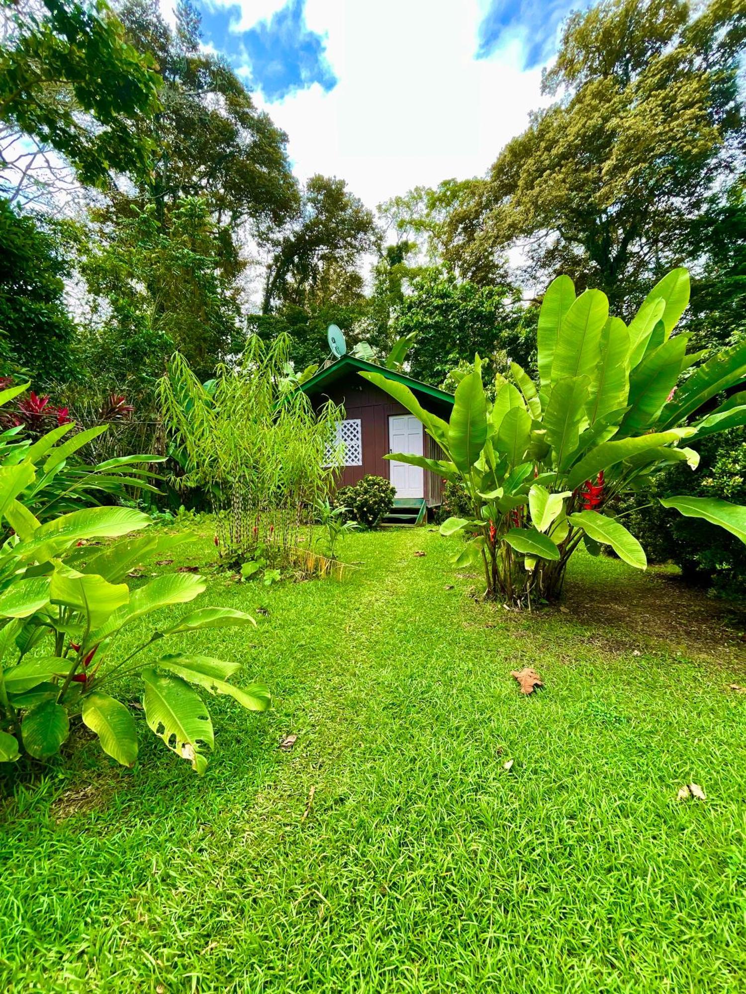 Alouatta Lodge And Canopy Cahuita Dış mekan fotoğraf