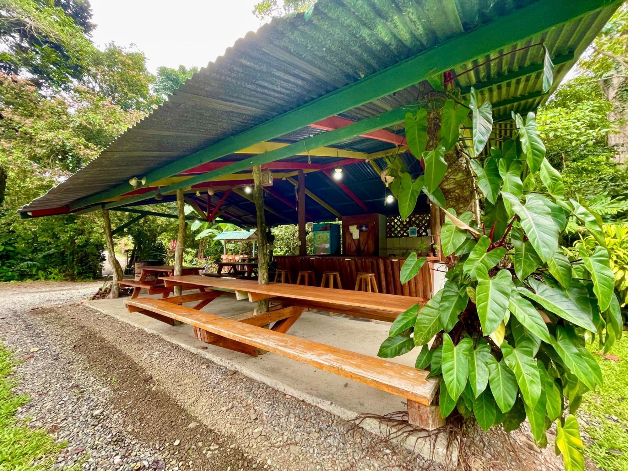 Alouatta Lodge And Canopy Cahuita Dış mekan fotoğraf