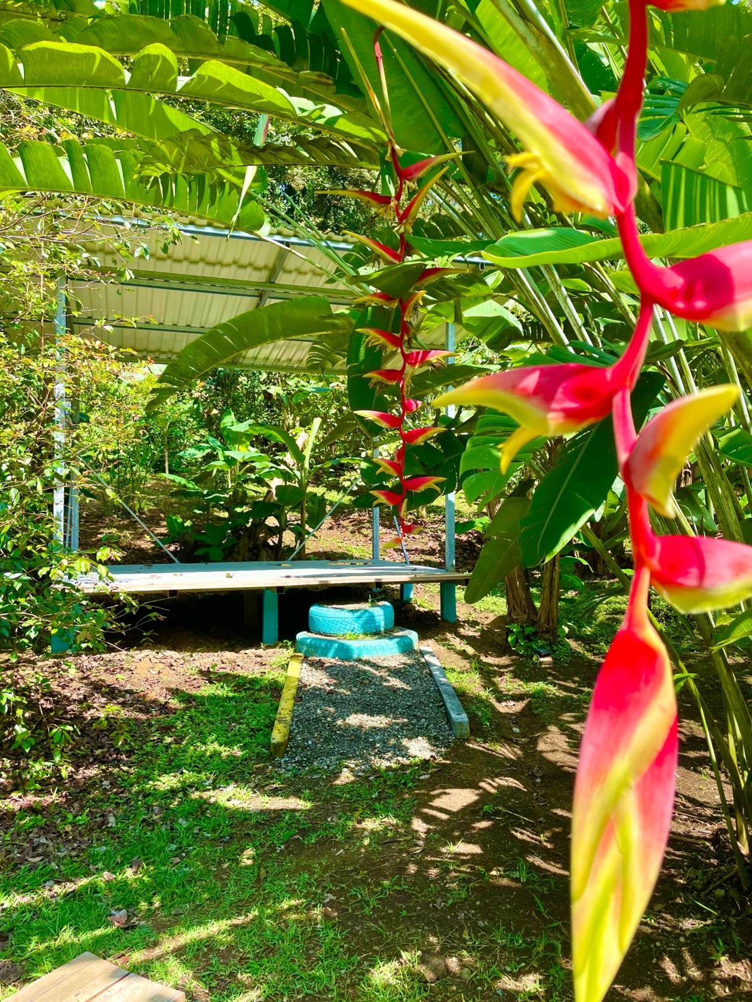 Alouatta Lodge And Canopy Cahuita Dış mekan fotoğraf