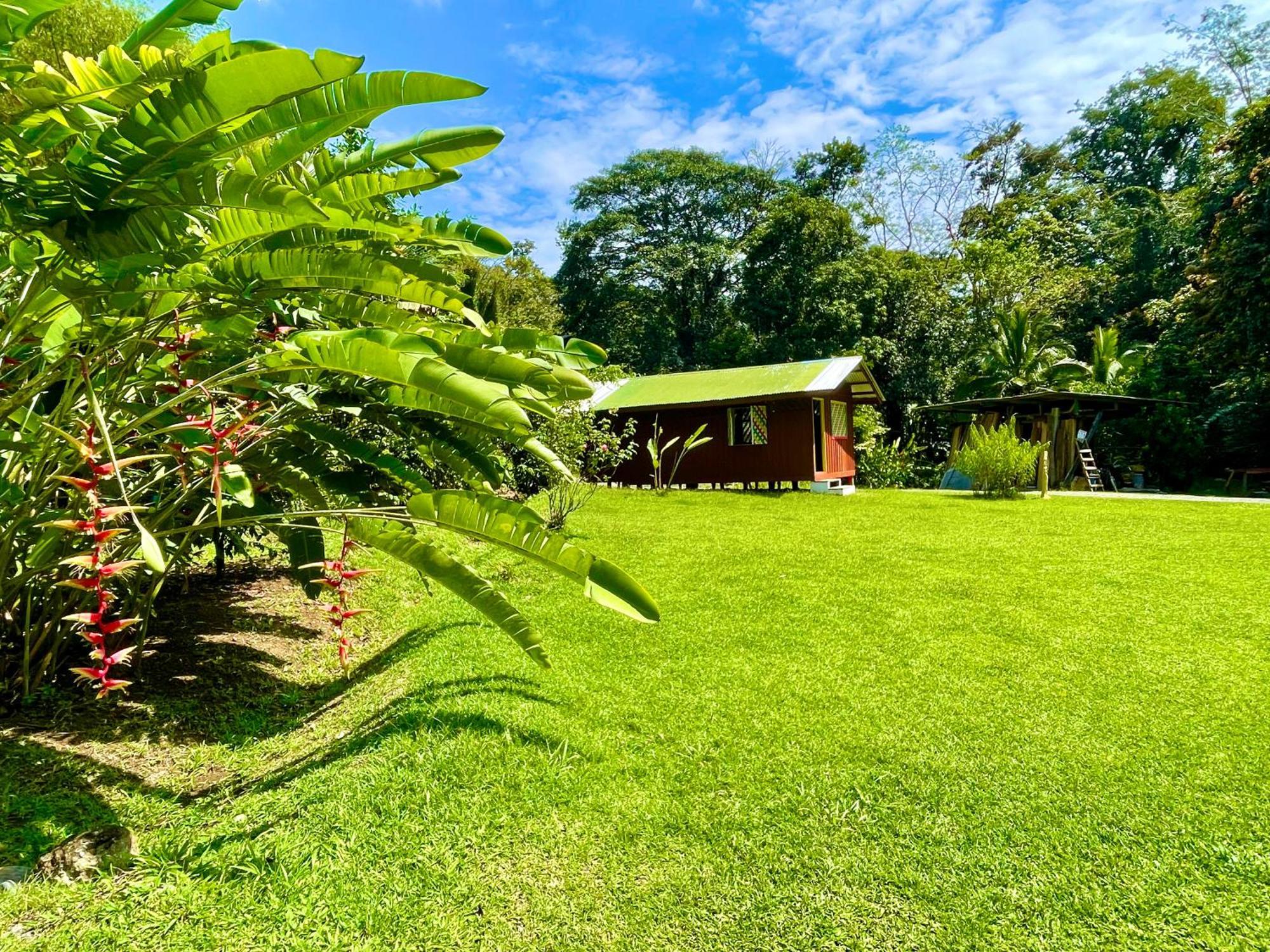 Alouatta Lodge And Canopy Cahuita Dış mekan fotoğraf