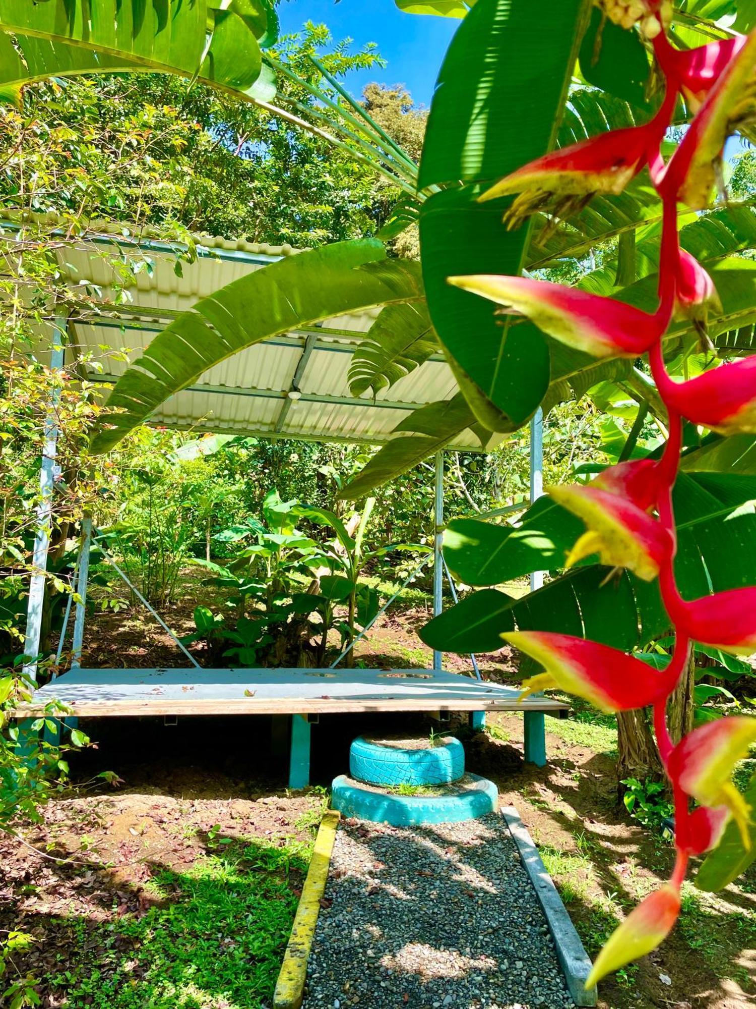 Alouatta Lodge And Canopy Cahuita Dış mekan fotoğraf