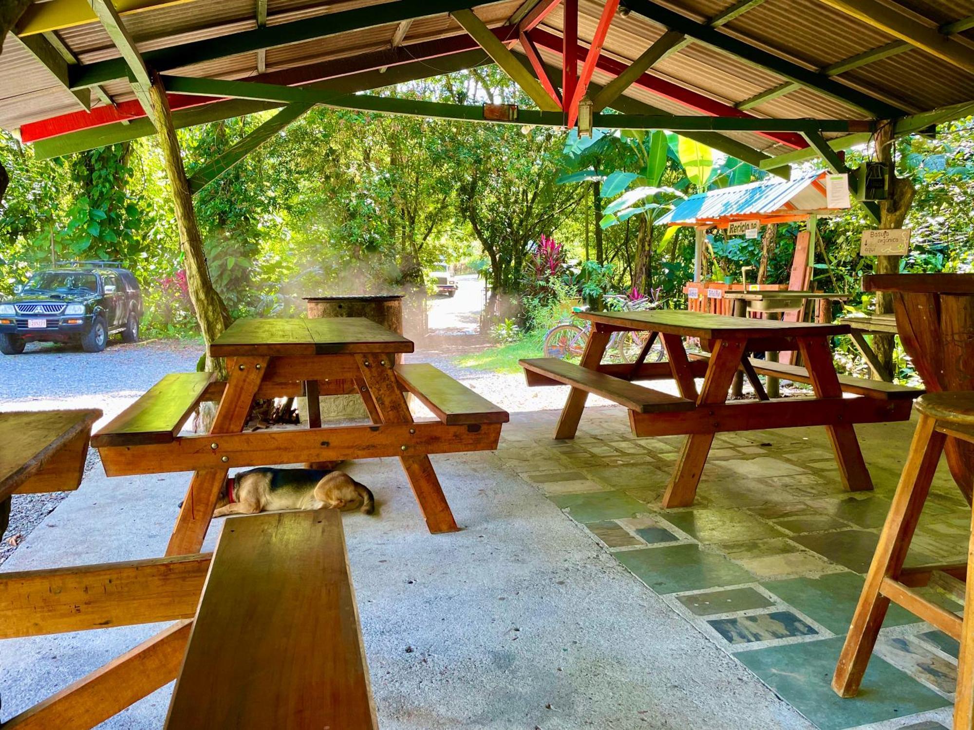 Alouatta Lodge And Canopy Cahuita Dış mekan fotoğraf