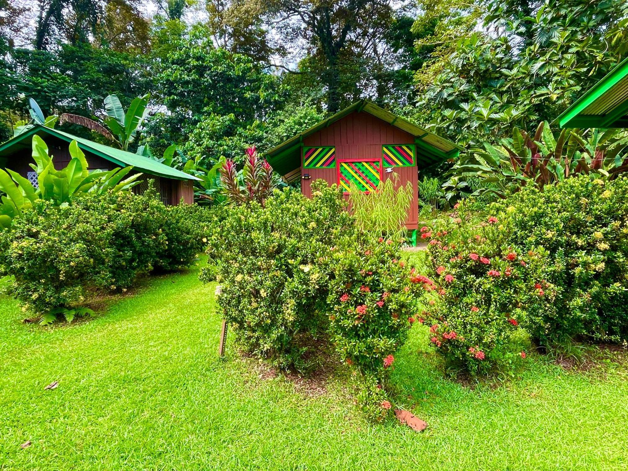 Alouatta Lodge And Canopy Cahuita Dış mekan fotoğraf