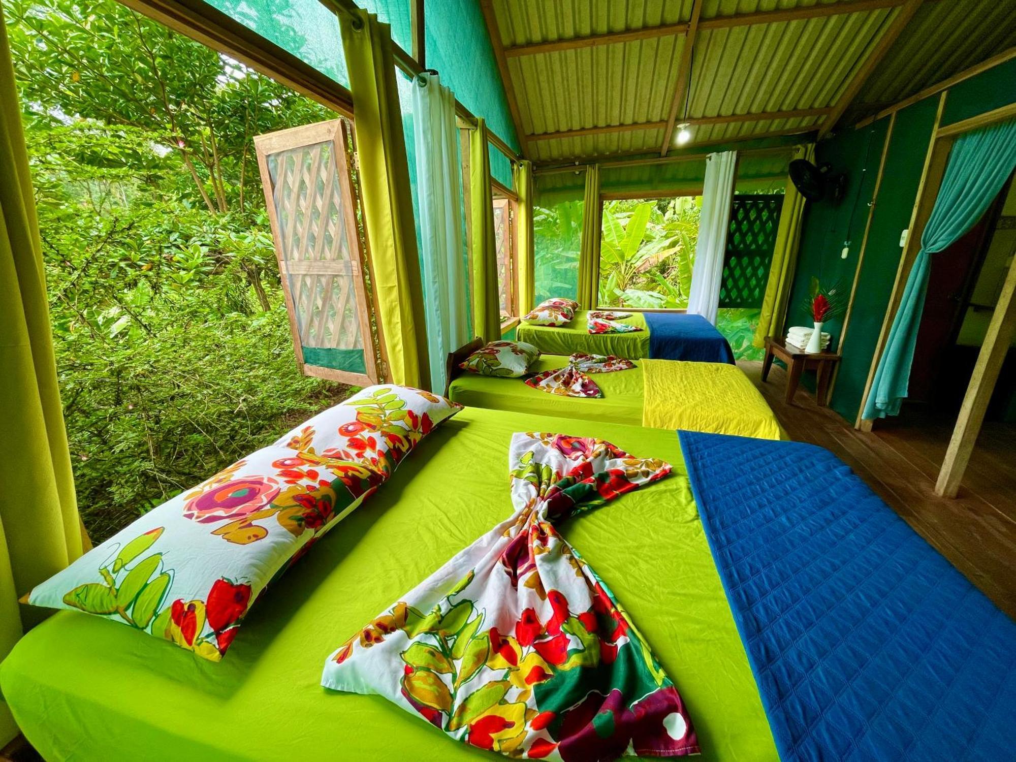 Alouatta Lodge And Canopy Cahuita Dış mekan fotoğraf