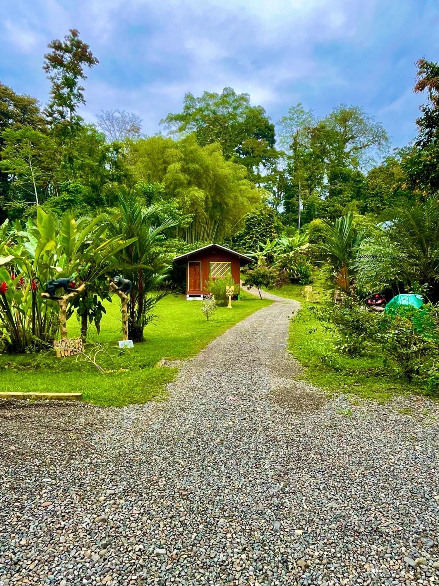 Alouatta Lodge And Canopy Cahuita Dış mekan fotoğraf