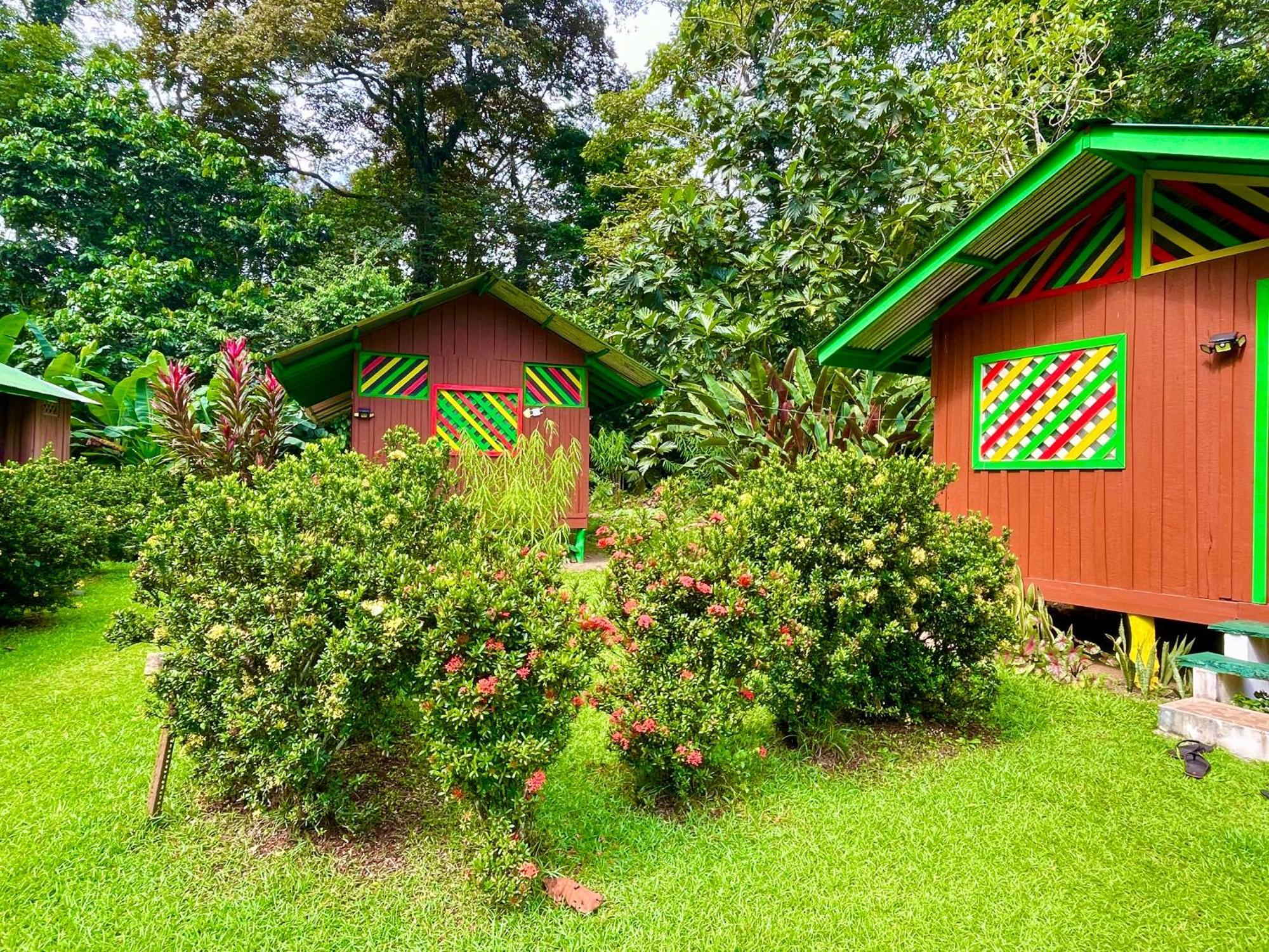 Alouatta Lodge And Canopy Cahuita Dış mekan fotoğraf