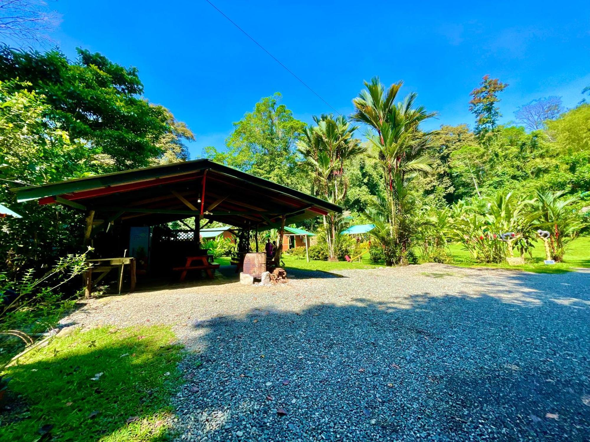 Alouatta Lodge And Canopy Cahuita Dış mekan fotoğraf