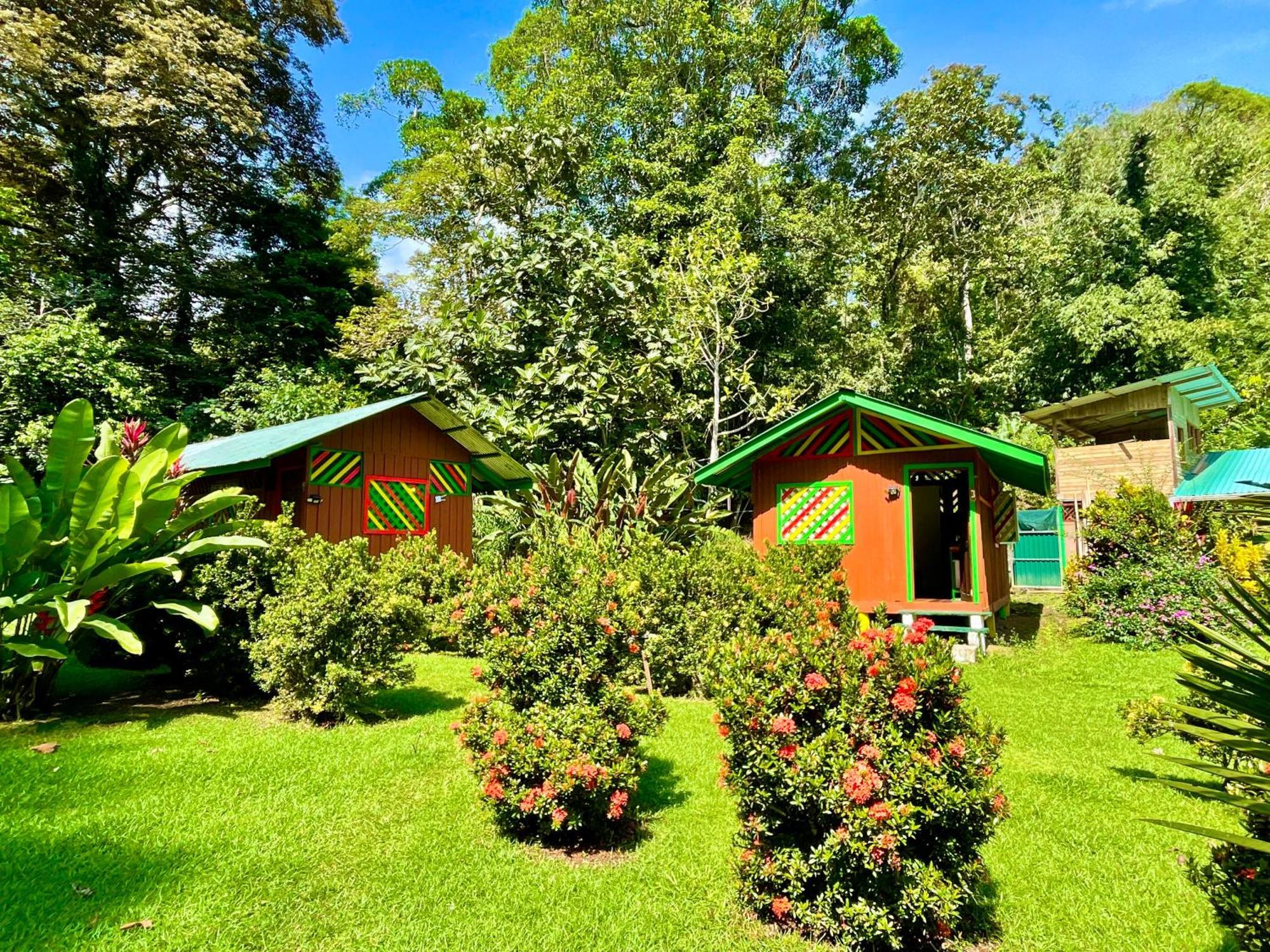 Alouatta Lodge And Canopy Cahuita Dış mekan fotoğraf