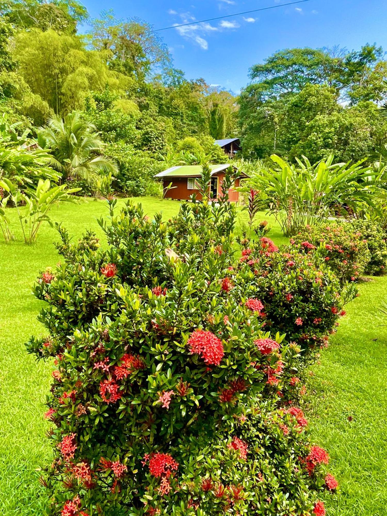 Alouatta Lodge And Canopy Cahuita Dış mekan fotoğraf