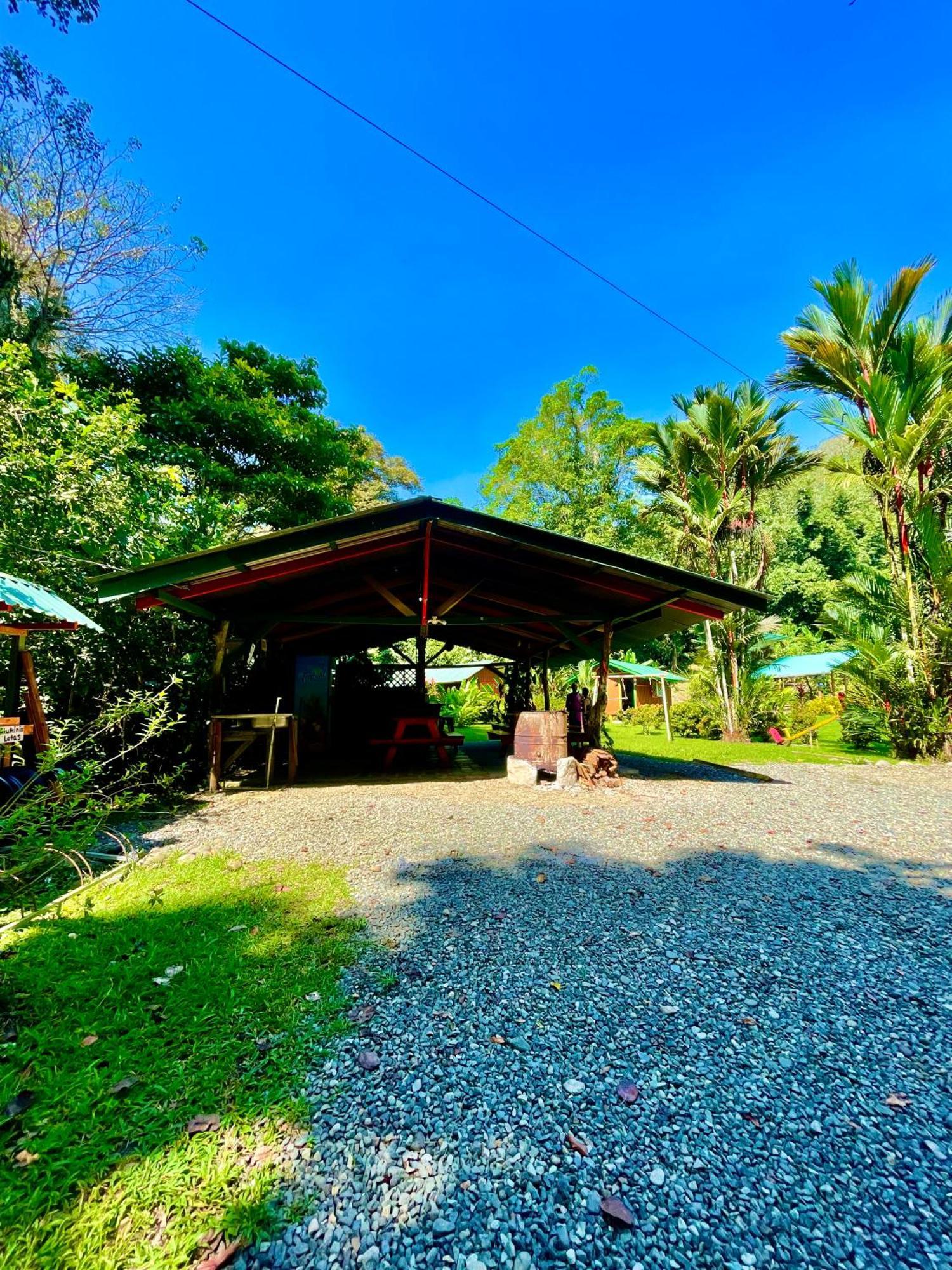 Alouatta Lodge And Canopy Cahuita Dış mekan fotoğraf