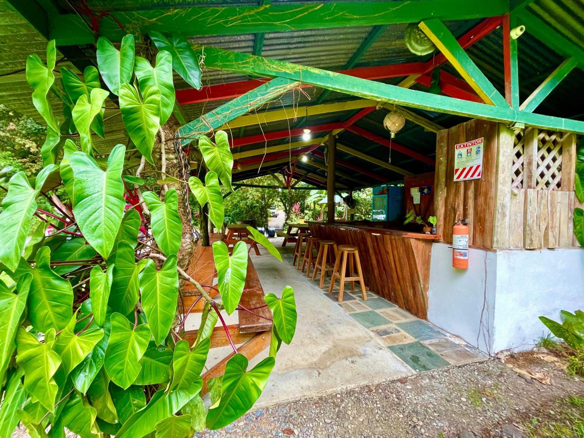 Alouatta Lodge And Canopy Cahuita Dış mekan fotoğraf