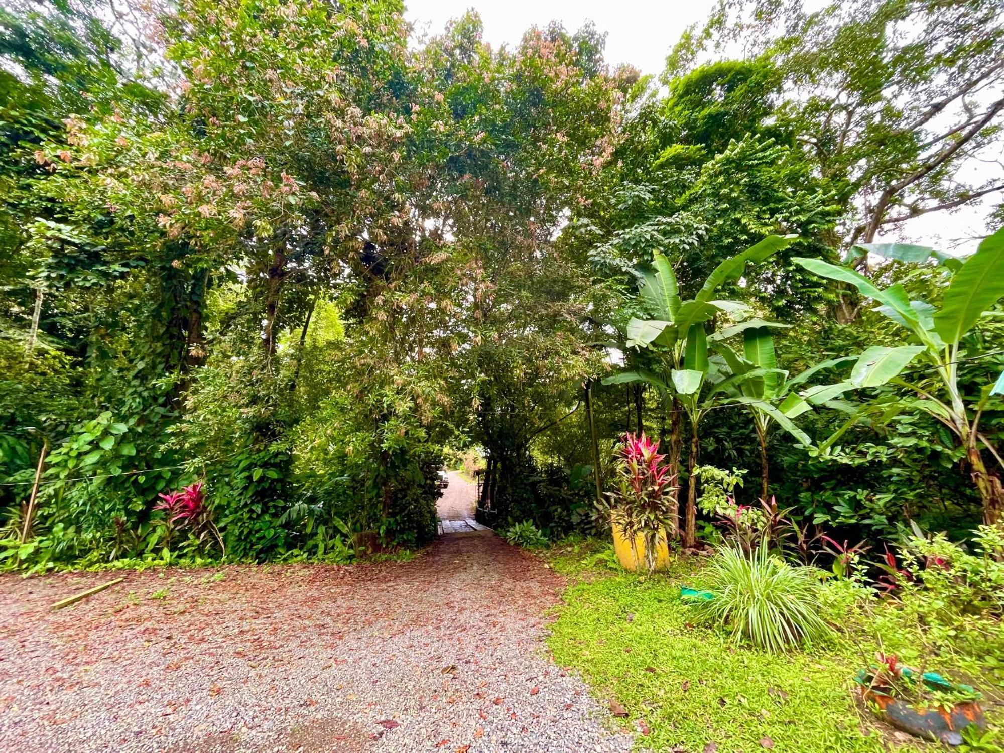 Alouatta Lodge And Canopy Cahuita Dış mekan fotoğraf