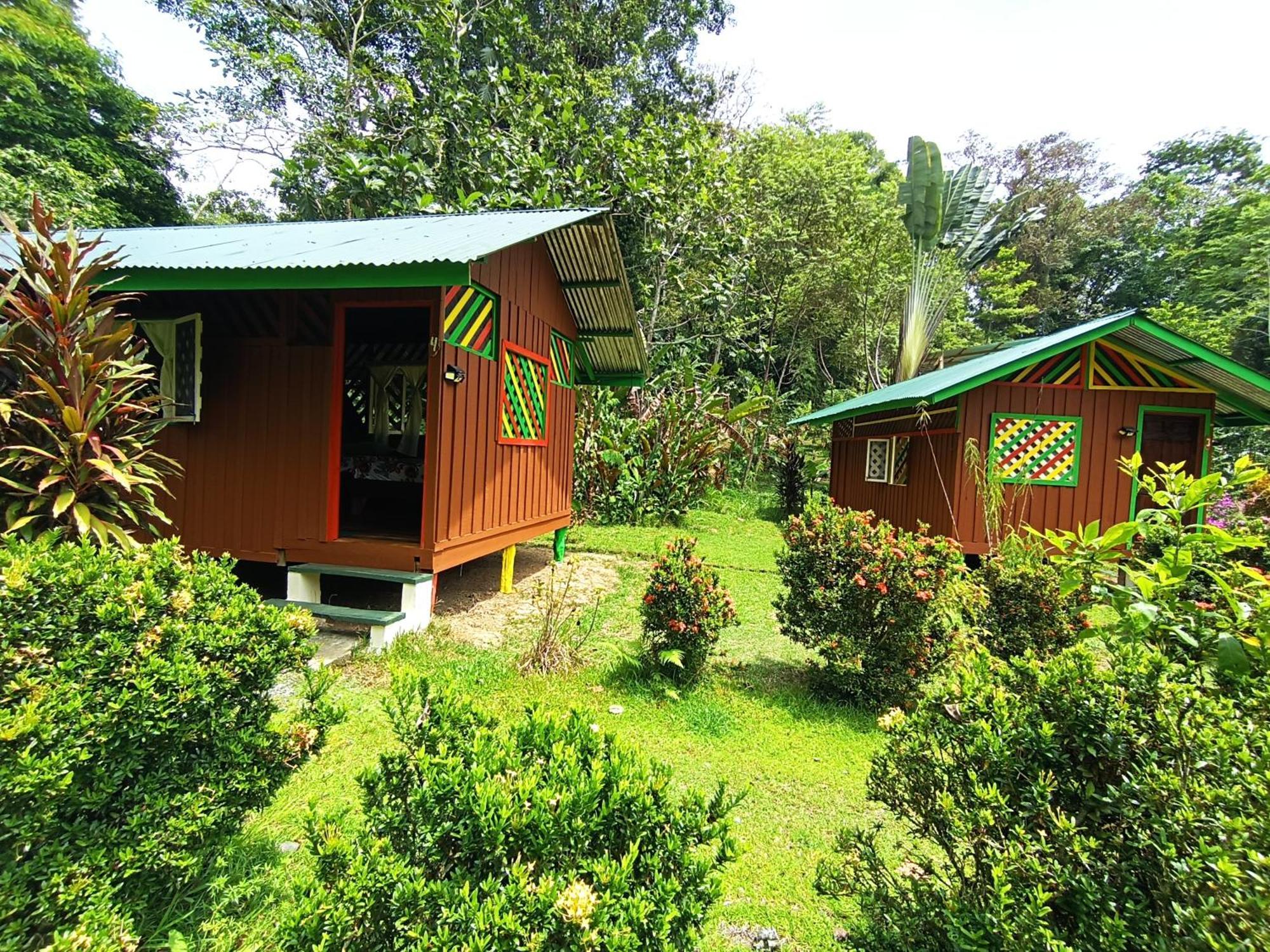 Alouatta Lodge And Canopy Cahuita Dış mekan fotoğraf