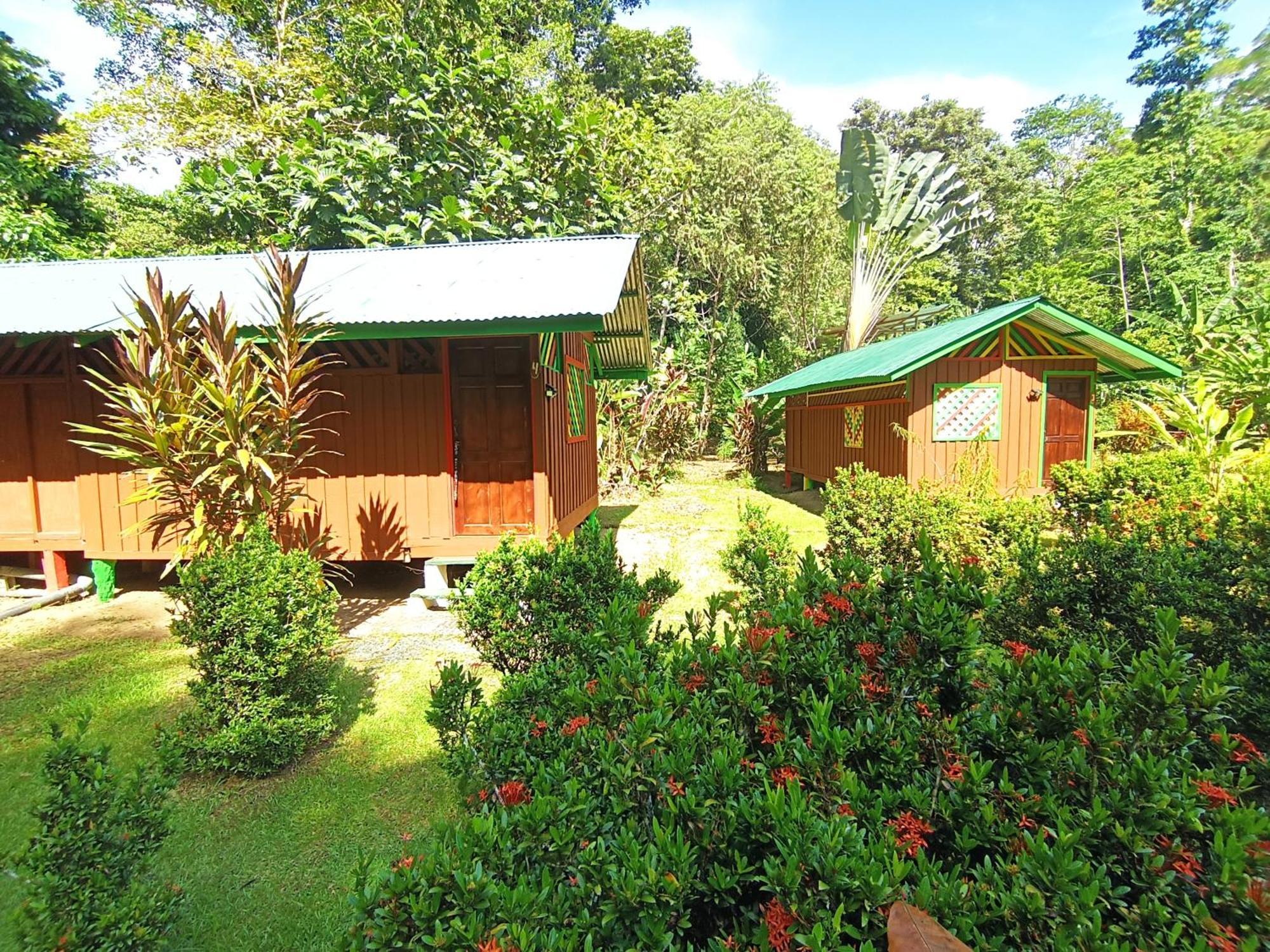 Alouatta Lodge And Canopy Cahuita Dış mekan fotoğraf