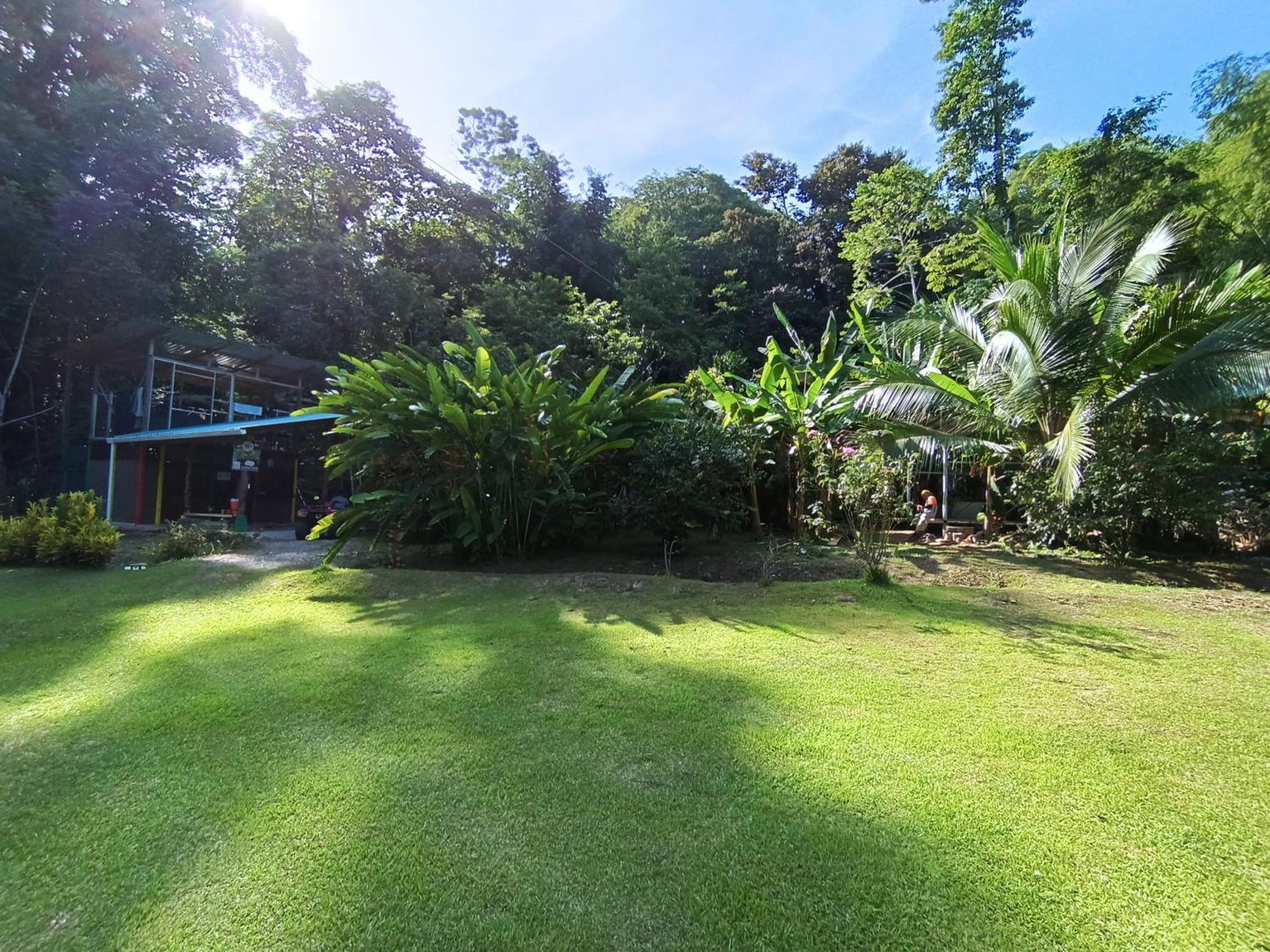 Alouatta Lodge And Canopy Cahuita Dış mekan fotoğraf